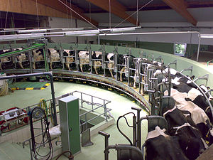 Dairy Gas conversions Idaho